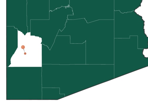 What are Arizona's Area Codes?