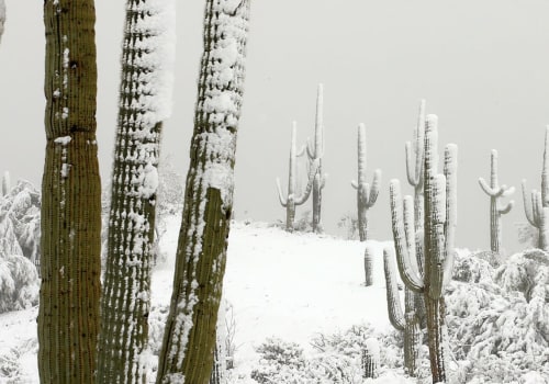 Does Phoenix AZ Get Snow? A Comprehensive Guide