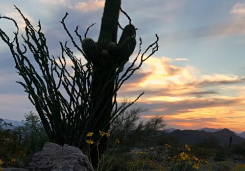 Discovering the Wonders of Arizona