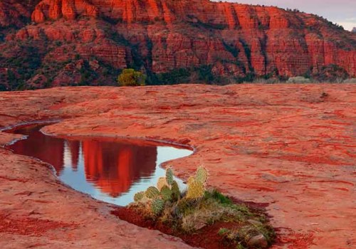 What are the Most Famous Things in Arizona?